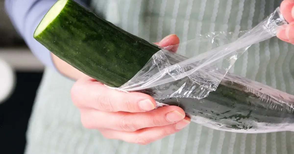 A New Study Put People on a Low-Plastic Diet. It Changed The Chemicals in Their Urine.