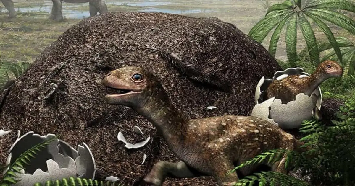 Dinosaurs May Have Engineered Their Own Egg Incubators to Survive Cold Regions