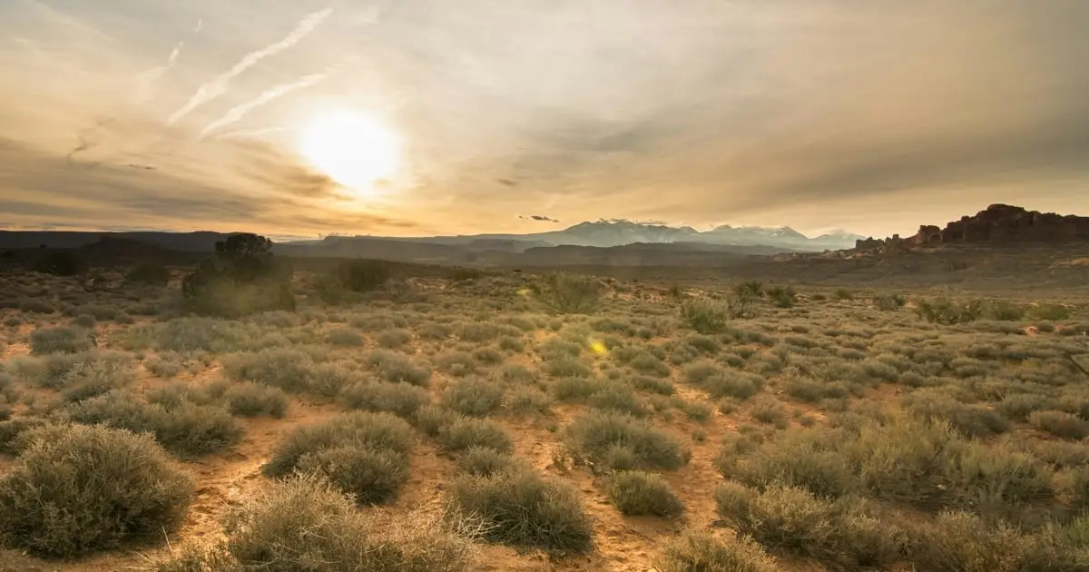 Over 40% of Earth Could Become 'Drylands' by 2100, Scientists Warn
