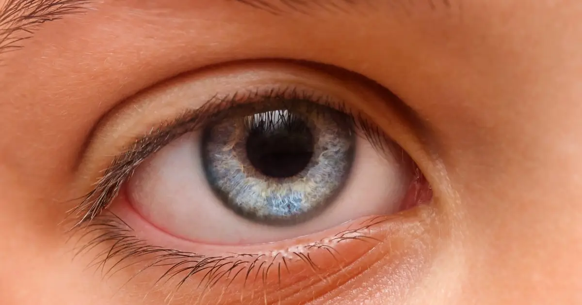 Scientists Find a Subtle Clue to ADHD Hidden in The Eyes