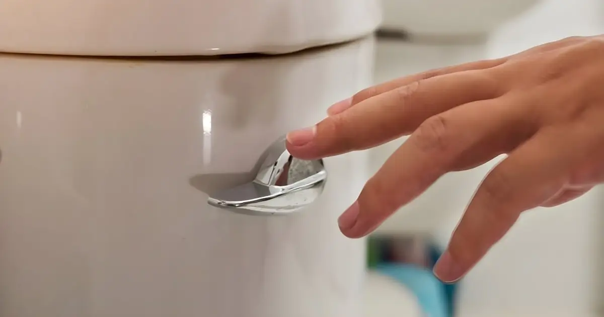 Flushing a Toilet Can Blast Germs Up to Your Breathing Zone, Study Finds