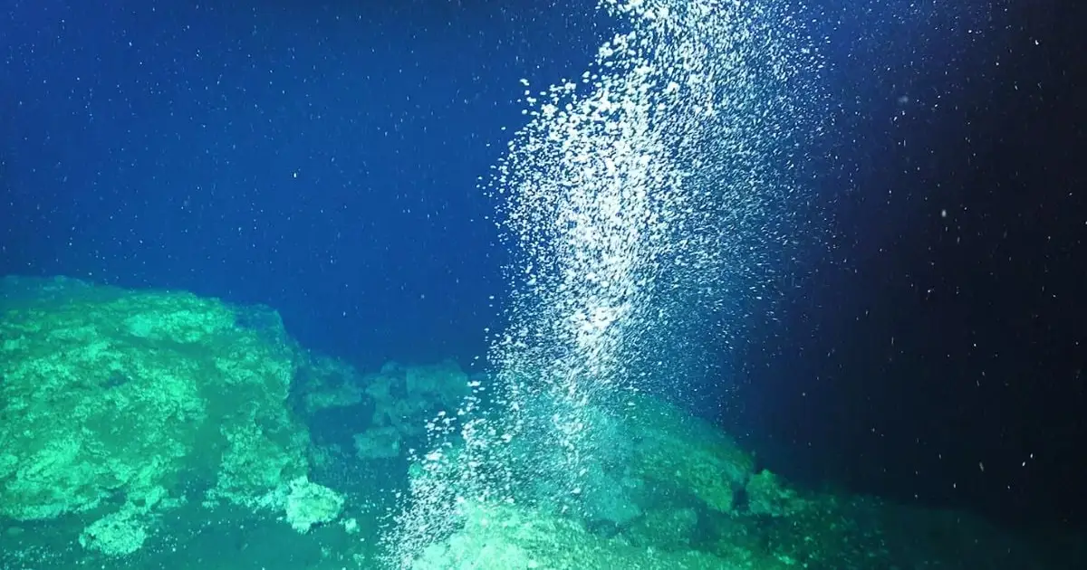 Drilling Accidentally Created a Methane Leak Beneath The South China Sea. Within a Year, Animals Helped 'Plug' It.