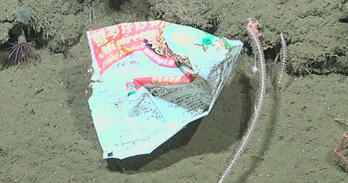 Mi Goreng Noodle Packet Found Nearly 2 Kilometers Beneath The Sea
