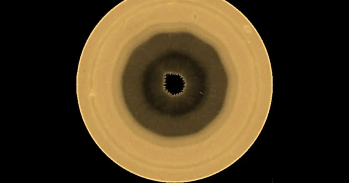 Astronomers Spot an Uncannily Geometric, 10-Sided Structure in Saturn's Atmosphere