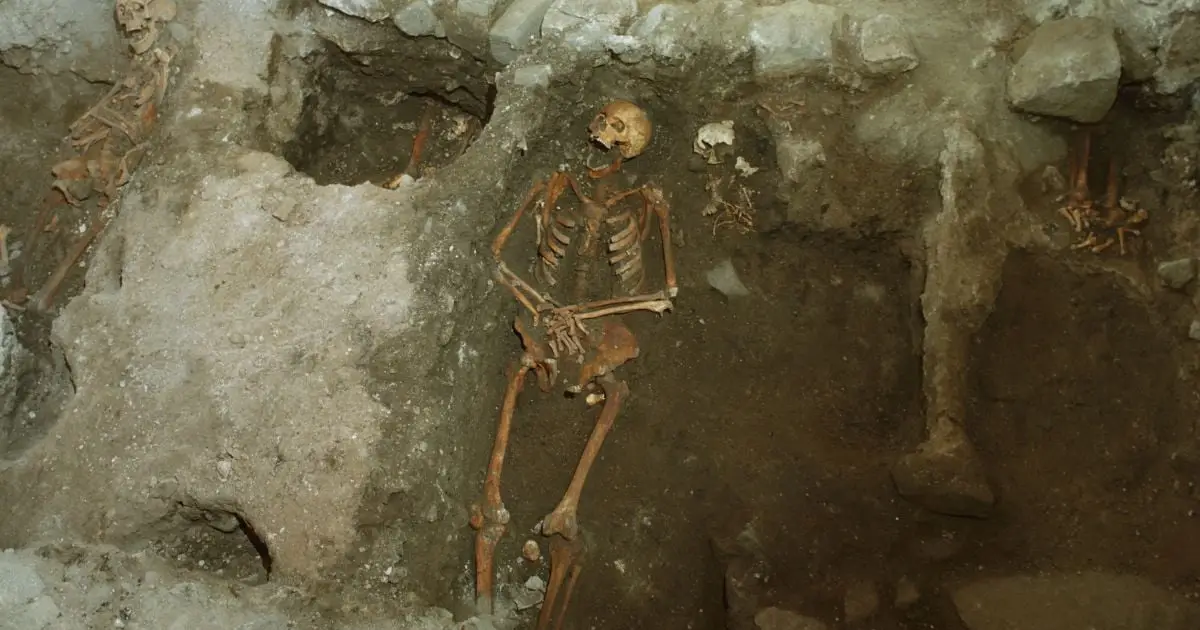 Broken Skeleton Could Be The First Evidence of Medieval Death by Trebuchet