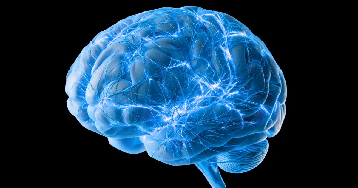 Scientists Find a Hidden Network of Tiny Channels The Brain May Use to Flush Out Toxic Alzheimer's Proteins