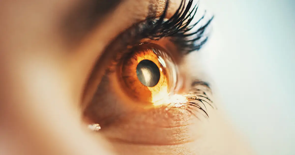 Scientists May Have Found a Way to Make Damaged Adult Retinas Repair Themselves
