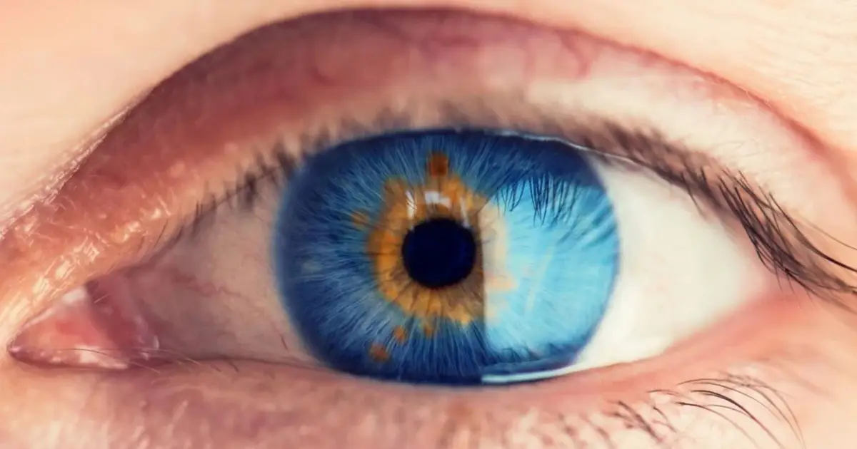 Partial Vision Restored in Some Blind Patients With New Experimental Treatment
