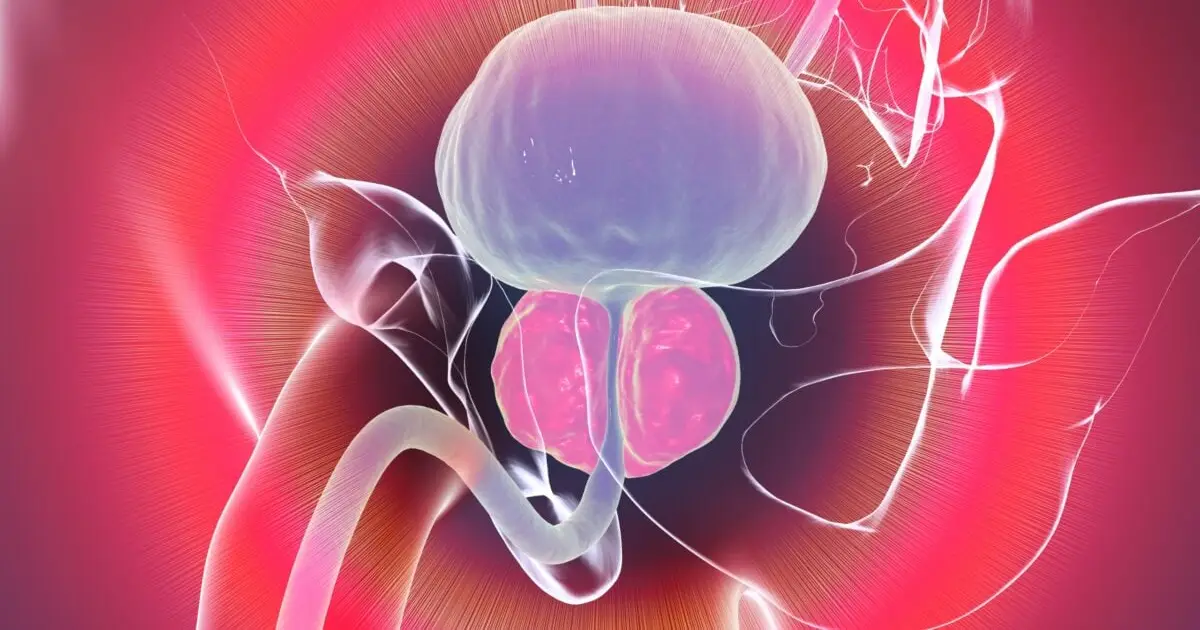 Scientists May Have Discovered Why Men's Prostates Enlarge With Age