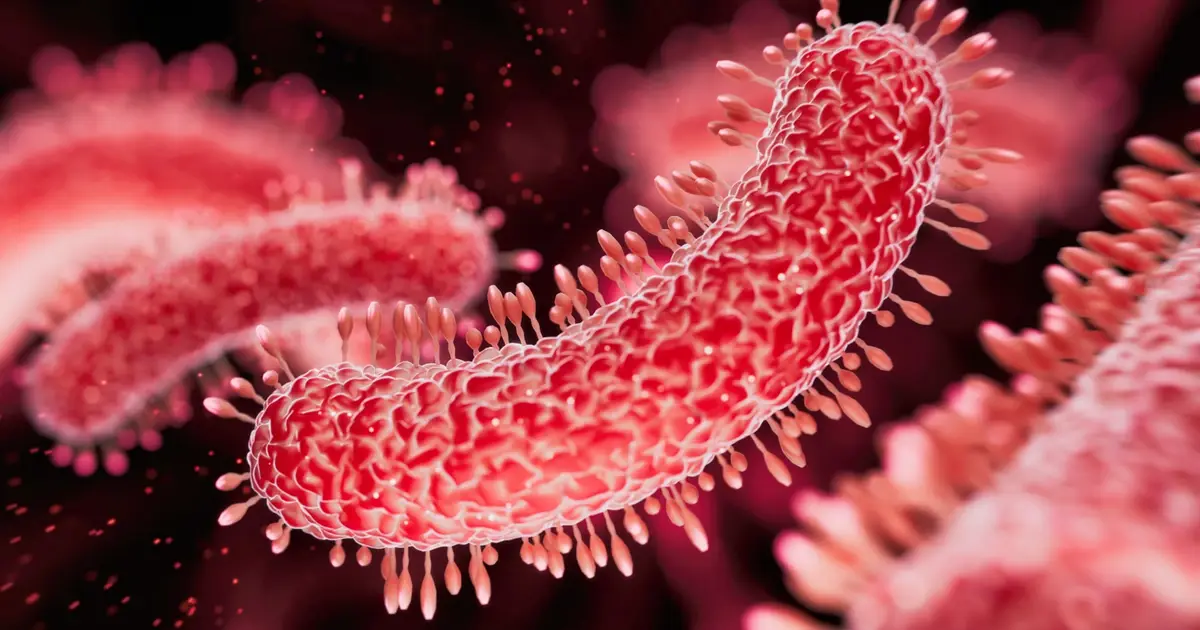 Sexually Transmitted Diarrhea Is Exploding in The US. And It's Growing Resistant to Medicine