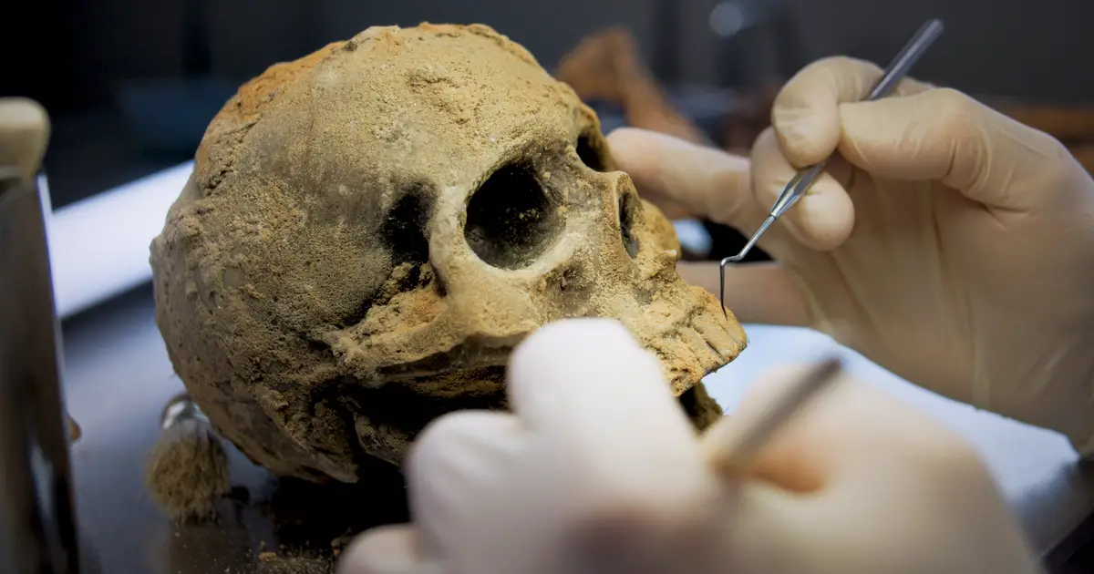 Skulls of Civilians Buried Around Egypt's First Kings Reveal Evidence of Human Sacrifice 5,000 Years Ago
