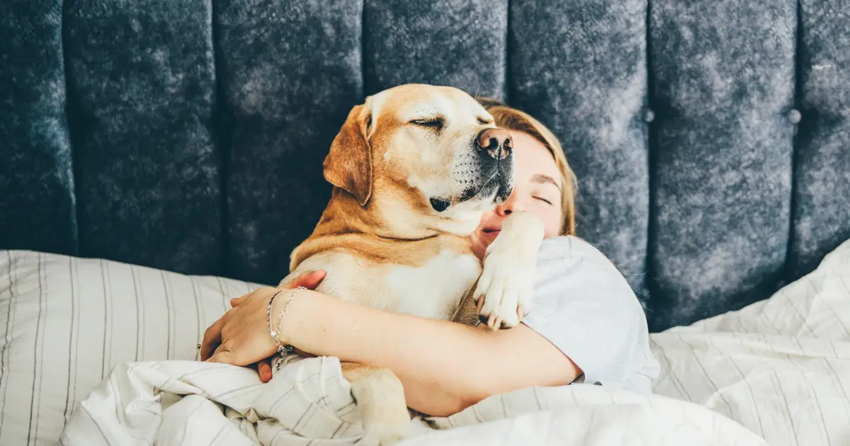 Think Your Dog Disturbs Your Sleep? It May Be The Other Way Around