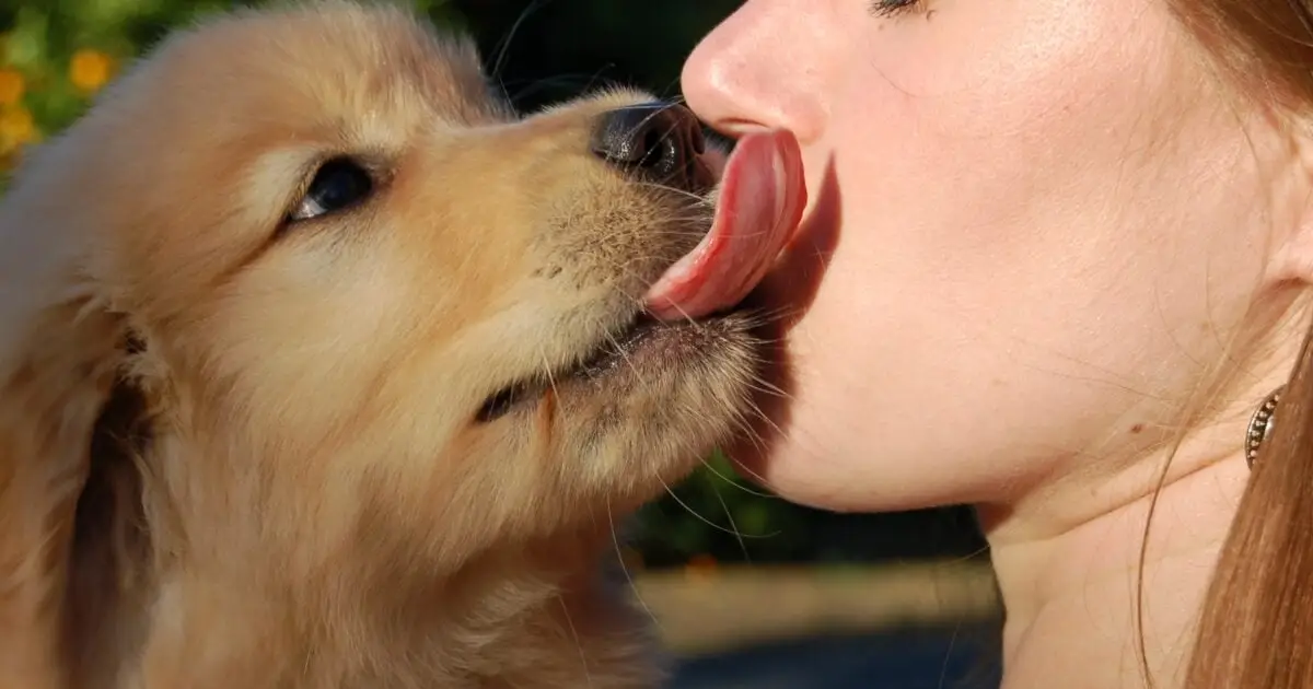 Your Dog's Mouth May Be Crawling With Human-Associated Parasites