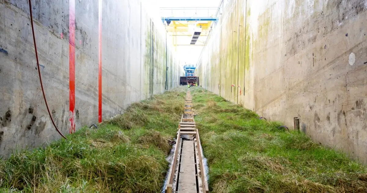 Scientists Transplanted 306 Square Meters of Wild Salt Marsh Into The World's Largest Wave Machine And Let a Simulated Extreme Storm Rip