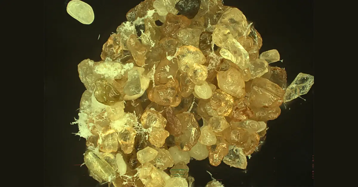 Scientists Find a Way to Turn Desert Sand Into 'Living Sand' That Holds Water Six Times Longer