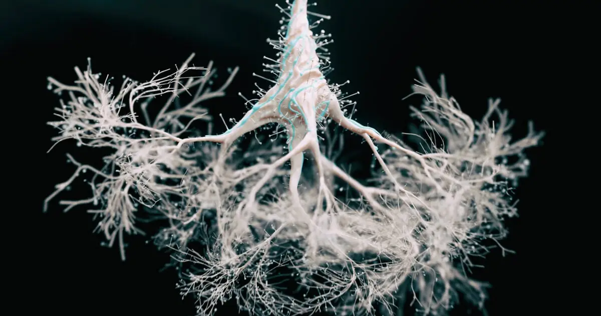 Water May Be a Hidden Trigger Behind The Spread of Alzheimer's in The Brain
