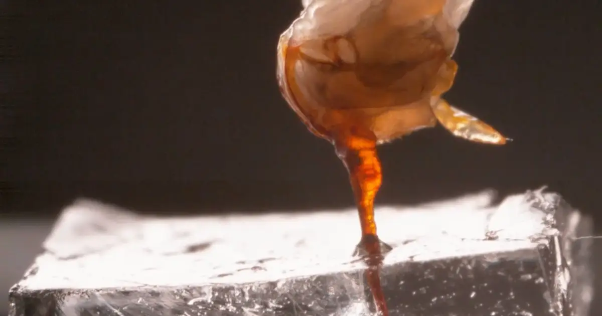 Incredibly Creepy Video Shows You a Bee Stinger Like You've Never Seen It Before