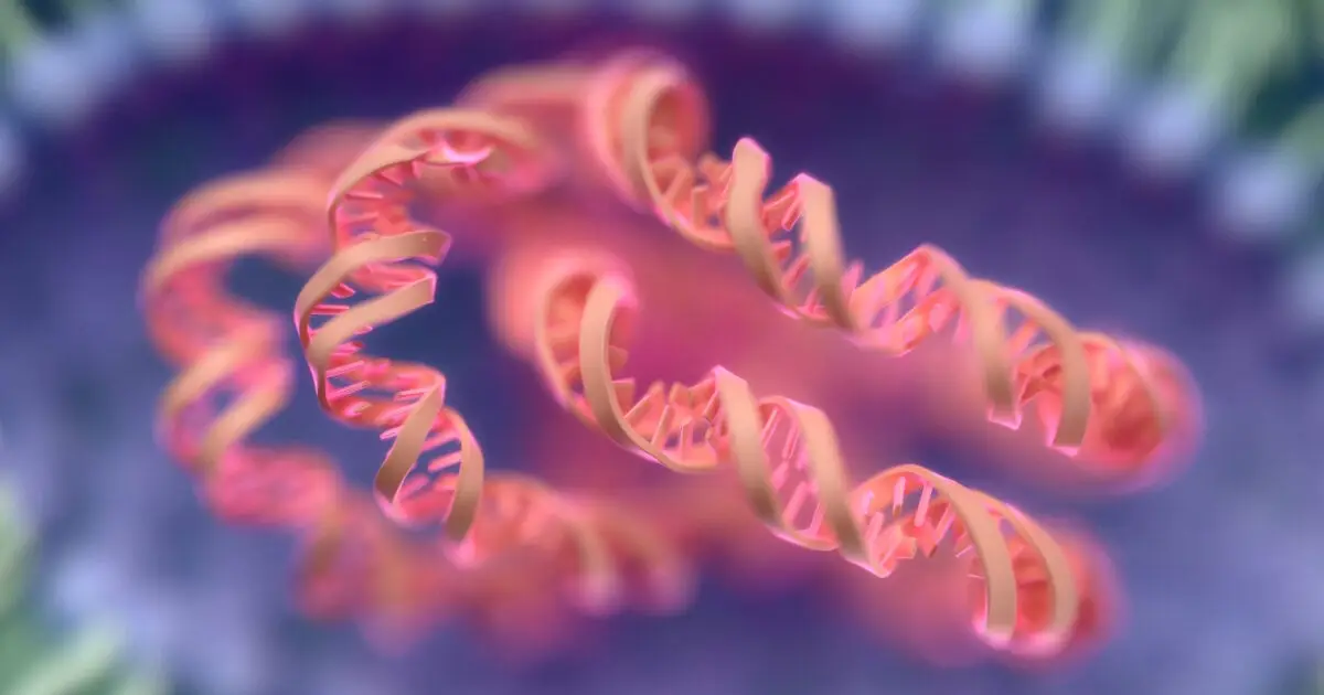 Too Much RNA Can Actually Starve Cells of Energy, Study Finds