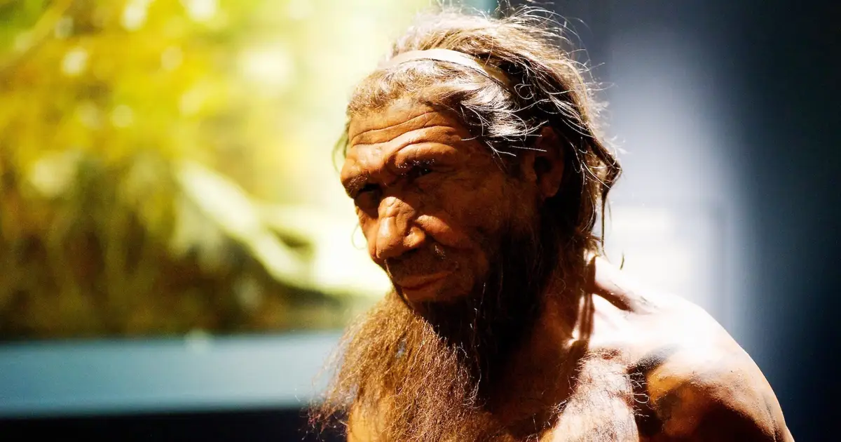 Archaeologists Uncover Unprecedented Evidence of Neanderthal Woodworking Skills