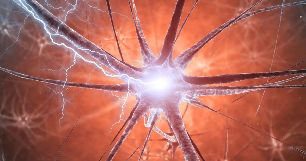 Mice With Parkinson's-Like Brain Changes Unexpectedly Recovered a Year Later