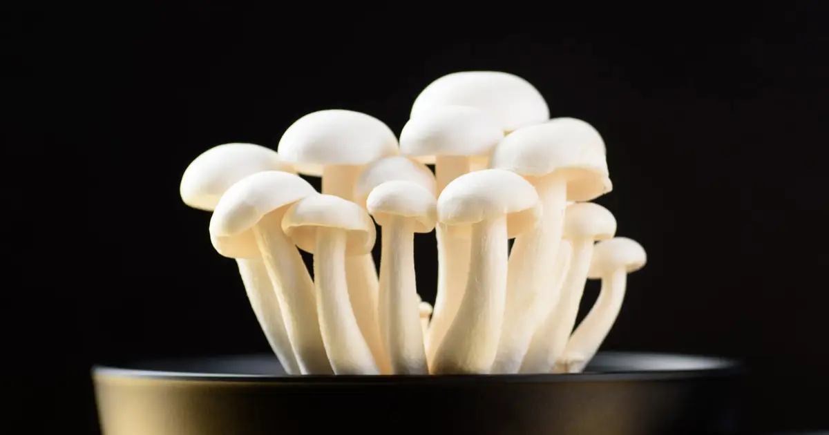 Adding 1 Mushroom-Derived Molecule to Salt Can Make It Taste 71% Saltier