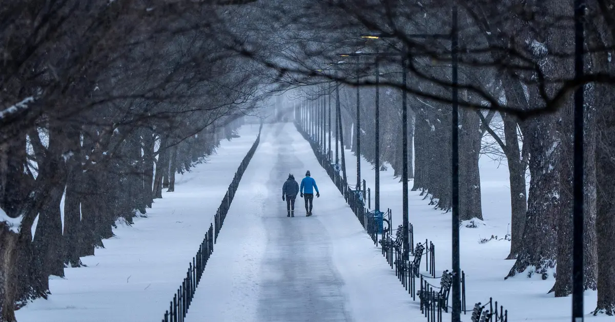 Ice from winter storm leaves hundreds of thousands of customers without power across the South