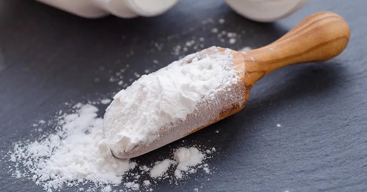 The best probiotic powder for daily gut support