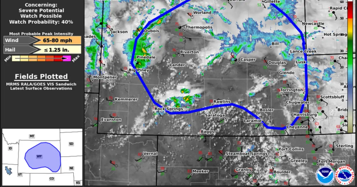 SPC MD 1211