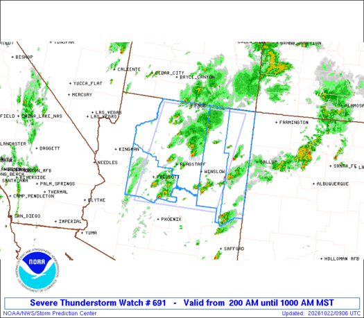 SPC Severe Thunderstorm Watch 691
