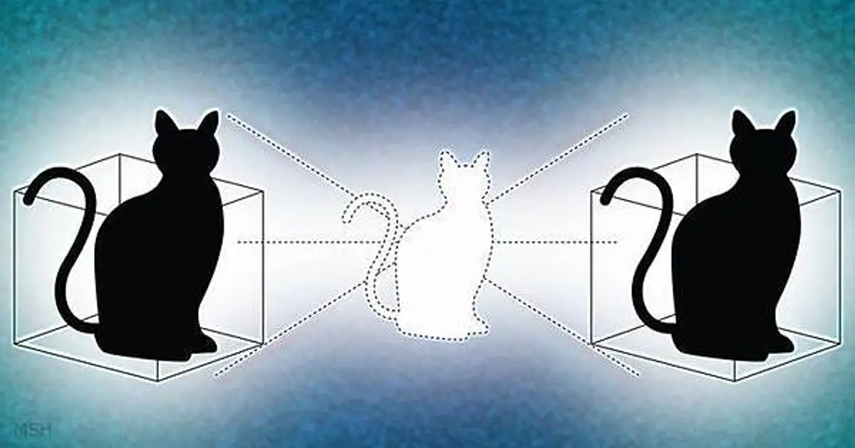 It started with a cat : How 100 years of quantum weirdness powers today tech