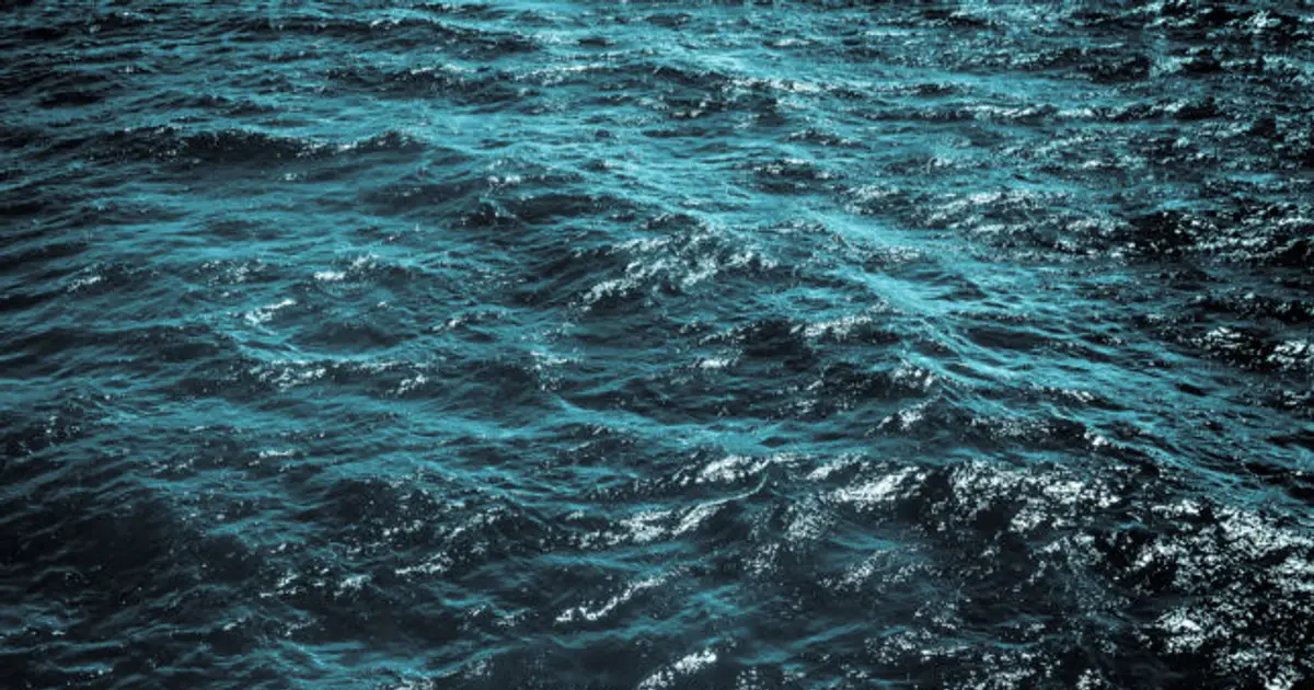 A possible treatment for brain-eating amoebas, found in the sea