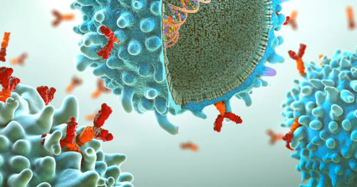 Could we one day vaccinate against every cancer?