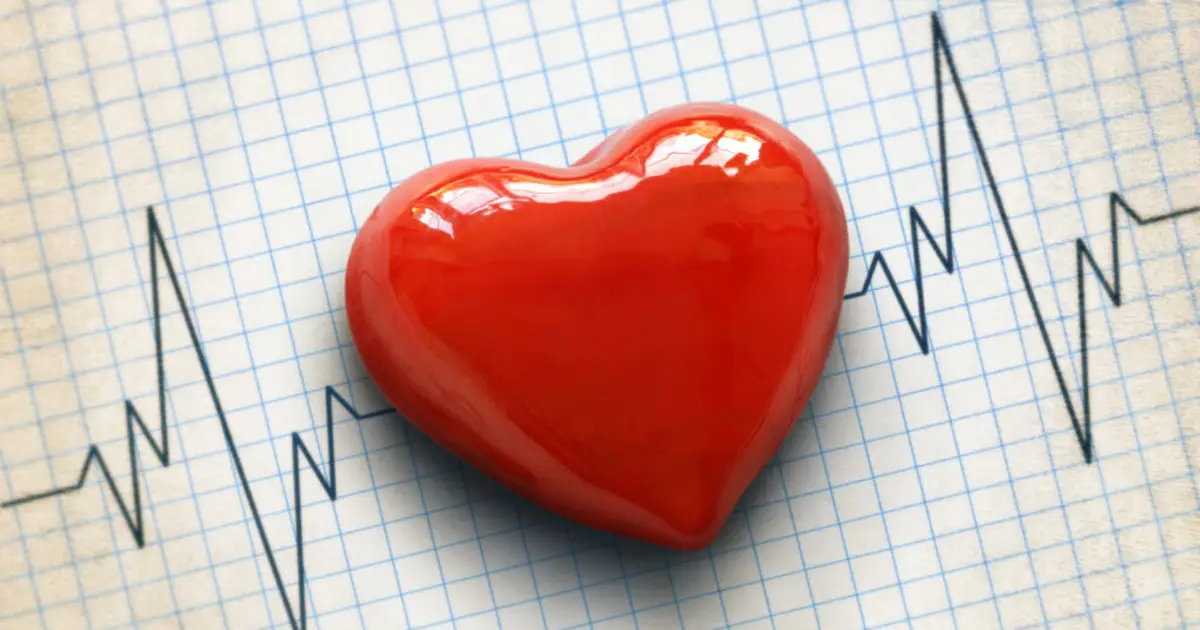 Heart’s beat may help it beat cancer, mouse research suggests
