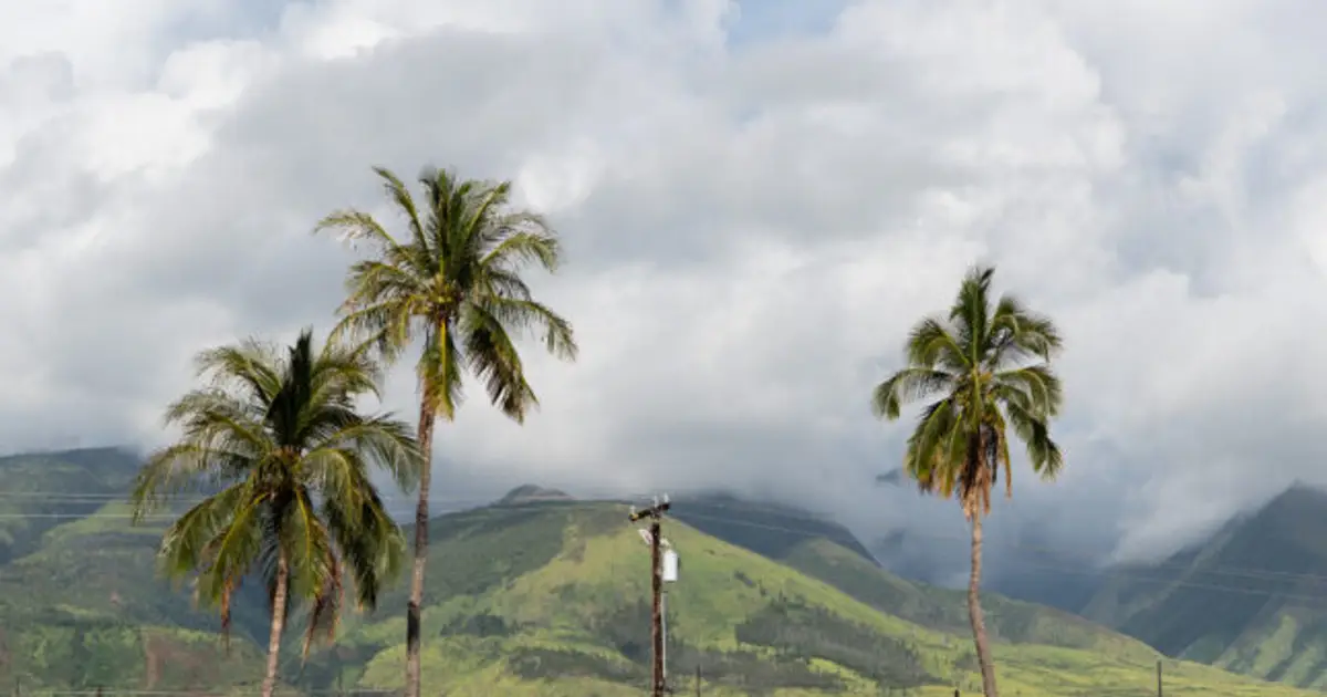 As Maui recovers from devastating fires, a study offers vision for new rural health model