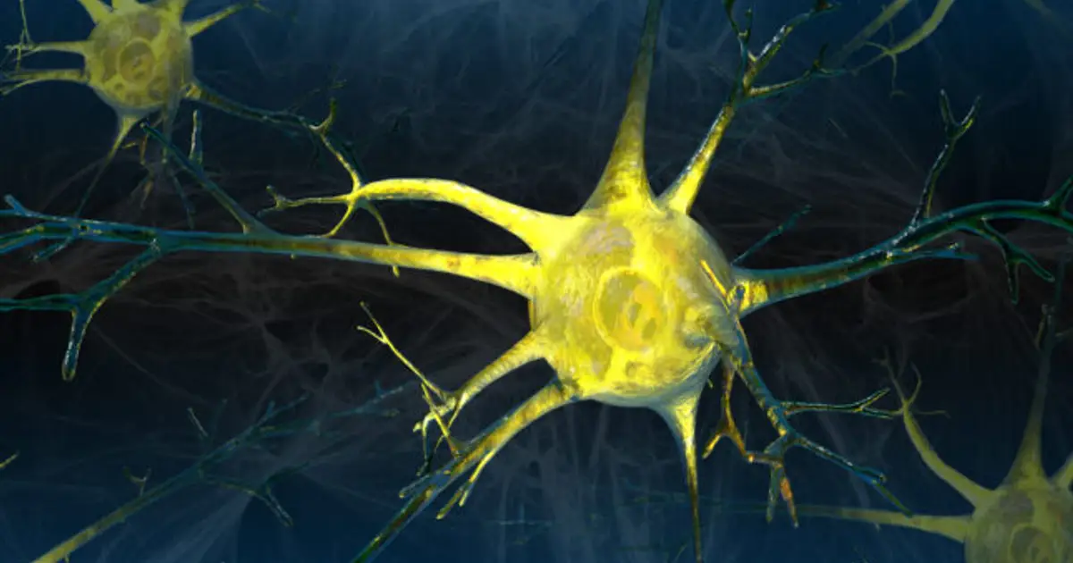 STAT+: In small trial, optogenetics restores some vision lost to retinitis pigmentosa