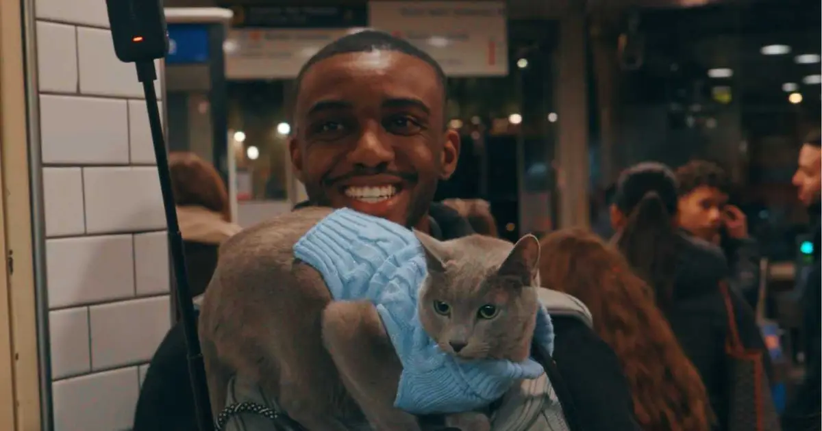 I was victim of homophobic abuse because I took my cat for a walk