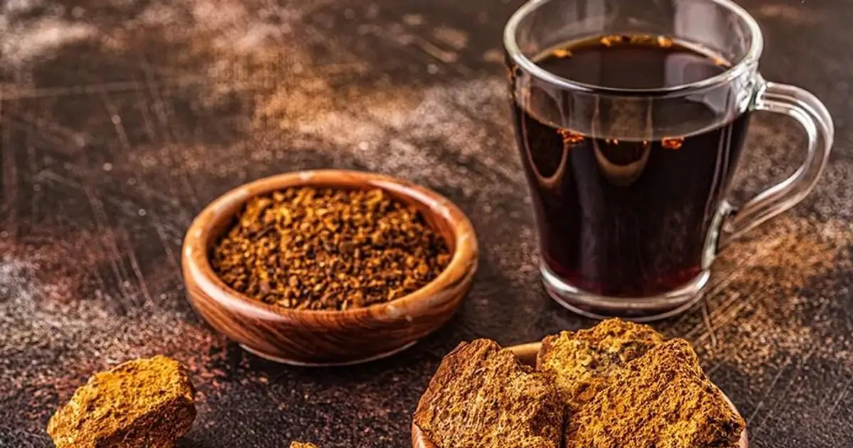 Best chaga tea